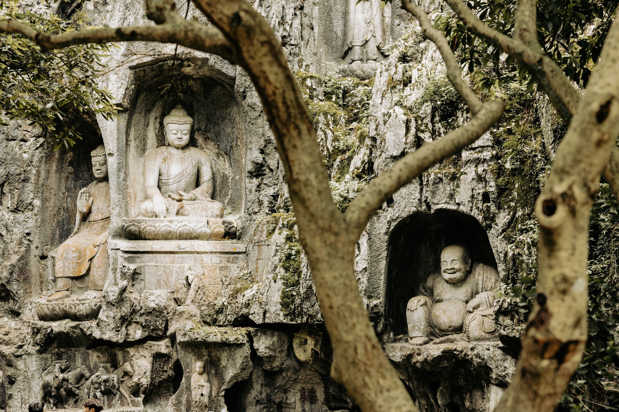 Buddha statues carved into the rock among tree roots, China