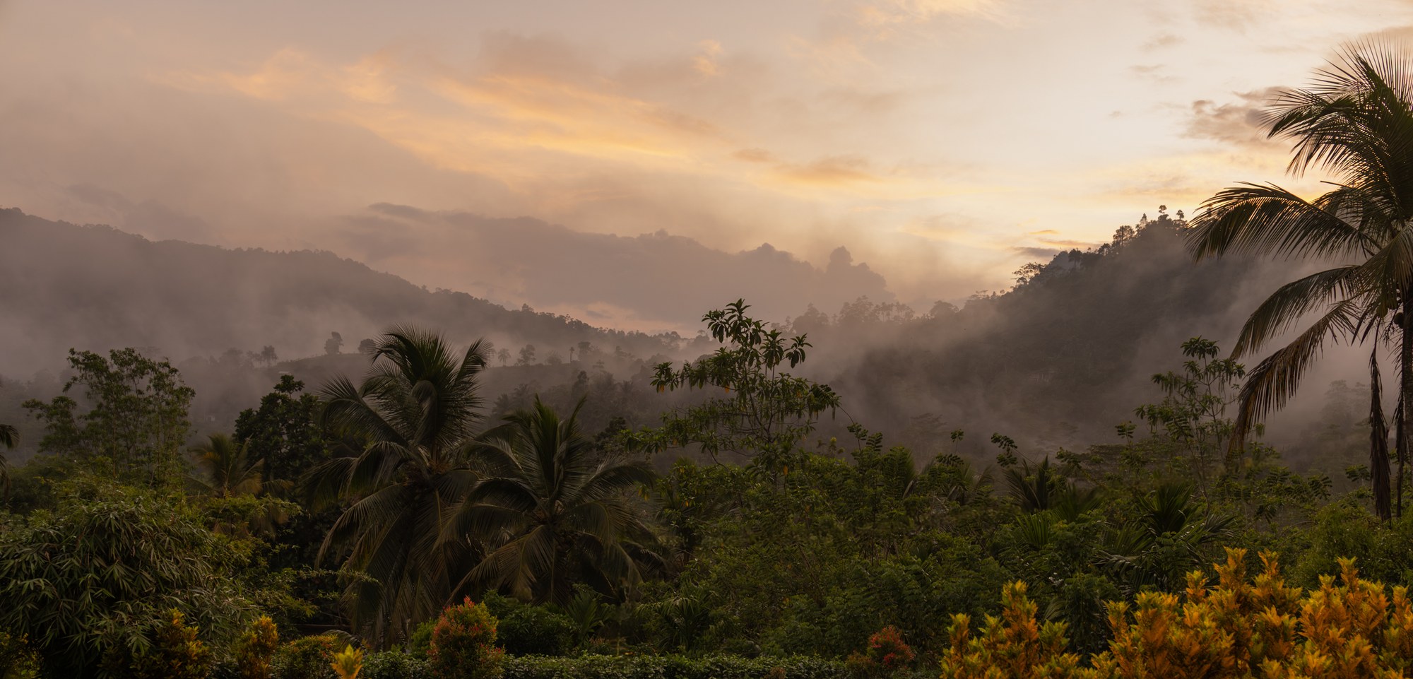 Misty ridges in layers at dawn, Ella, Sri Lanka