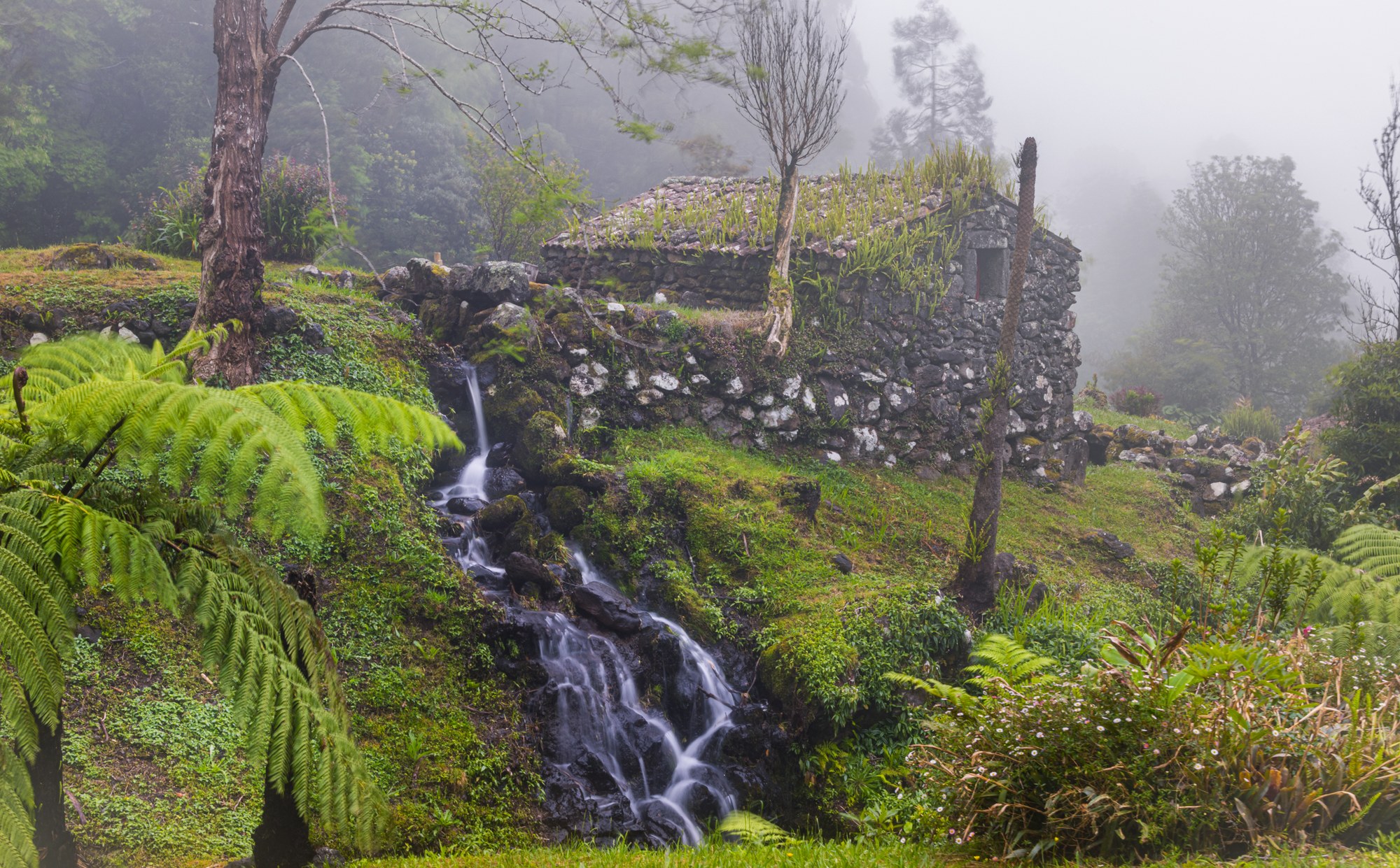 Stone ruin with a small waterfall in misty green, Azores
